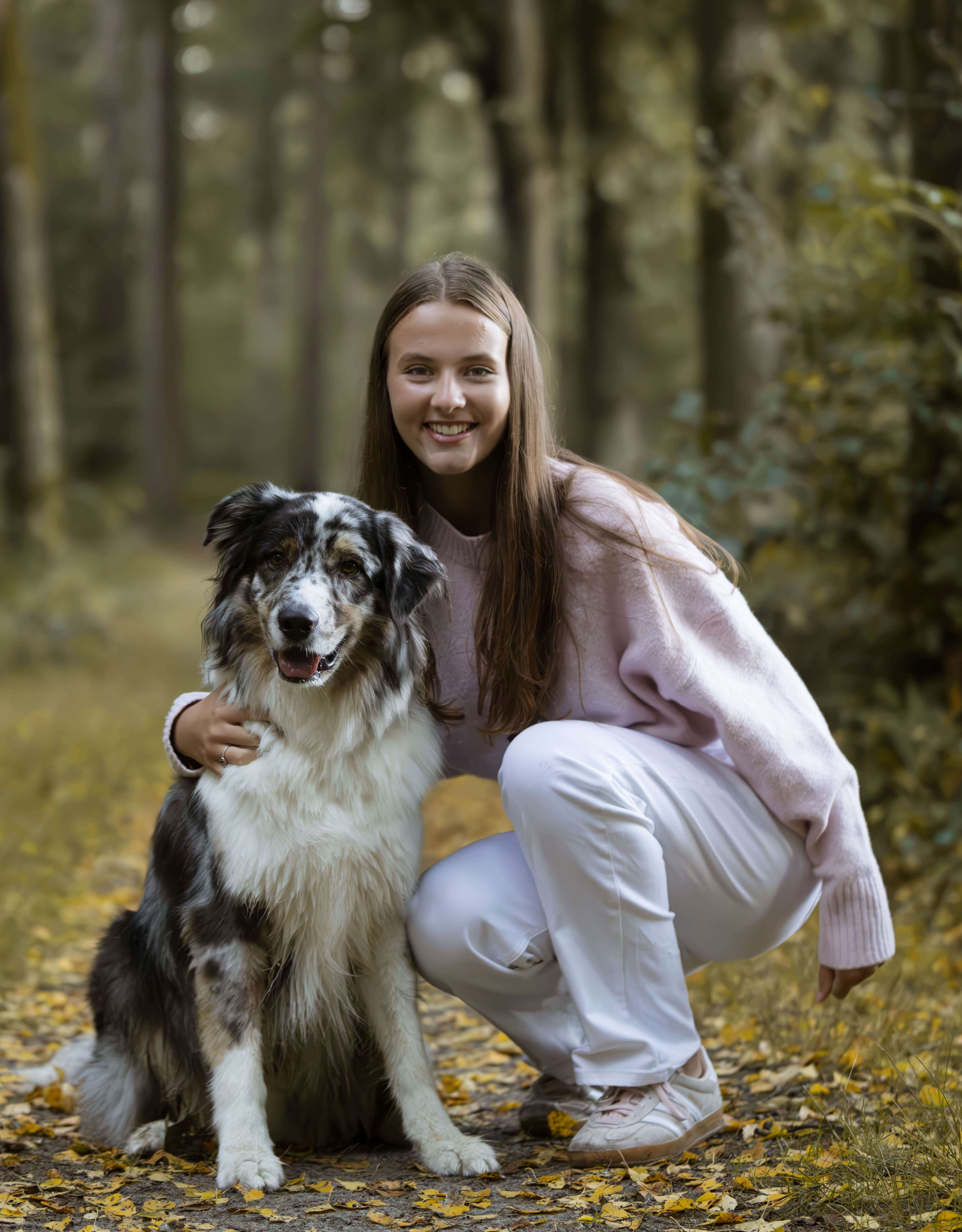 Tijdelijke portfolio stockfoto 3