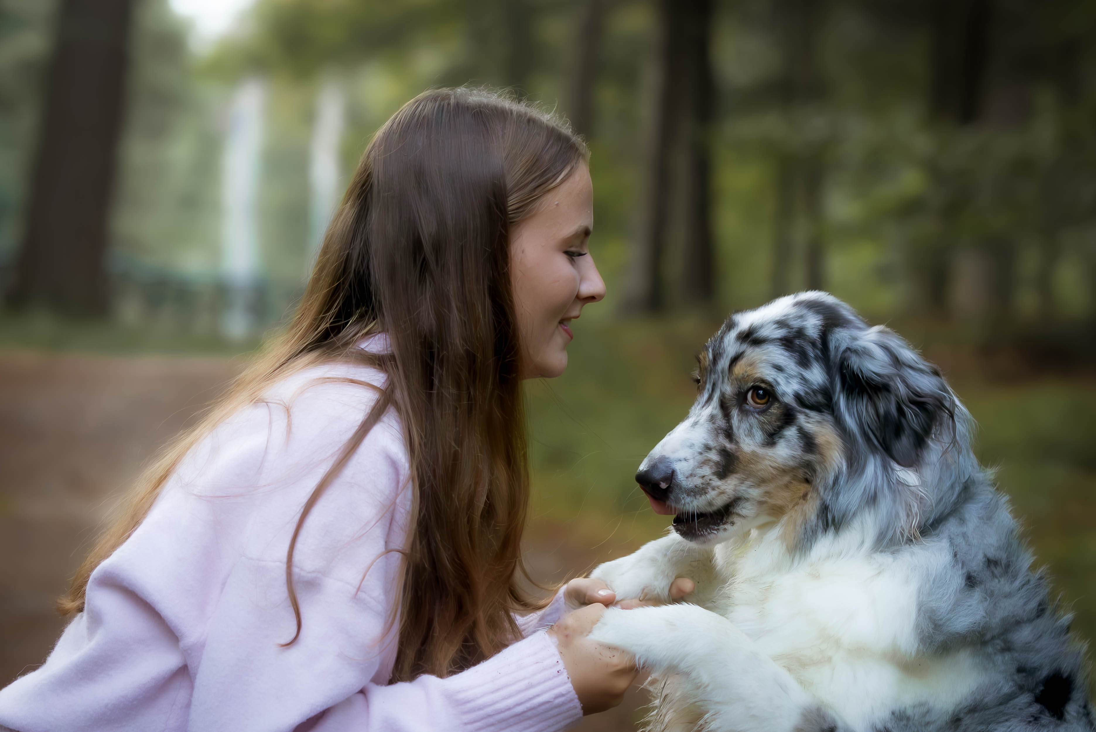 Tijdelijke portfolio stockfoto 3